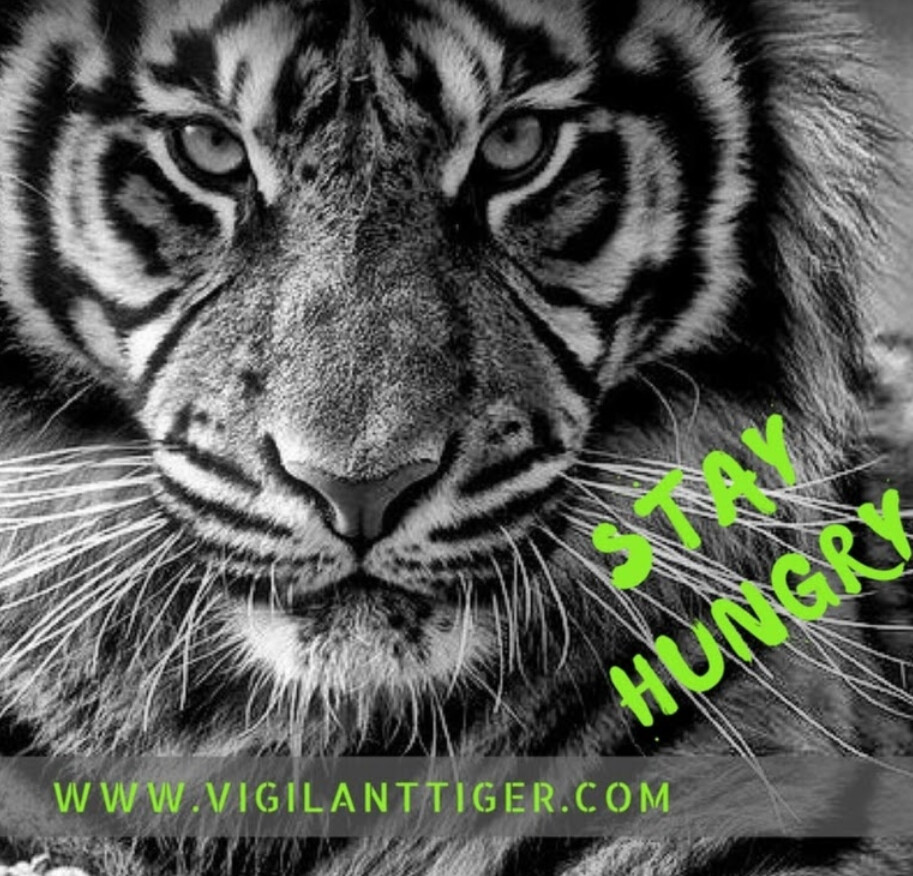 Images Vigilant Tiger Security
