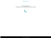 Website Screenshot Primark