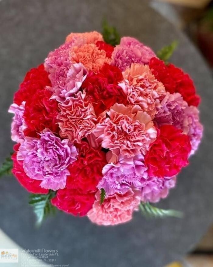 Images The Flower Bucket