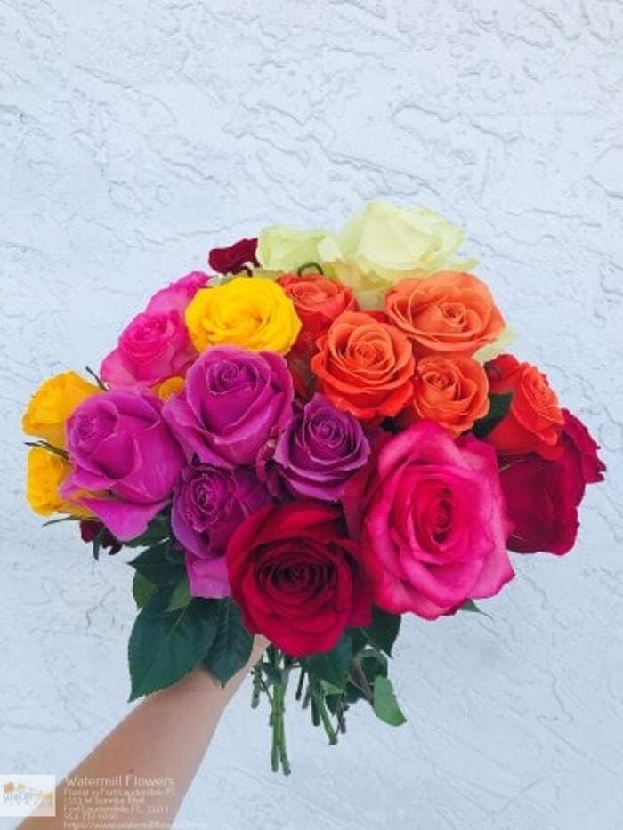 Images The Flower Bucket