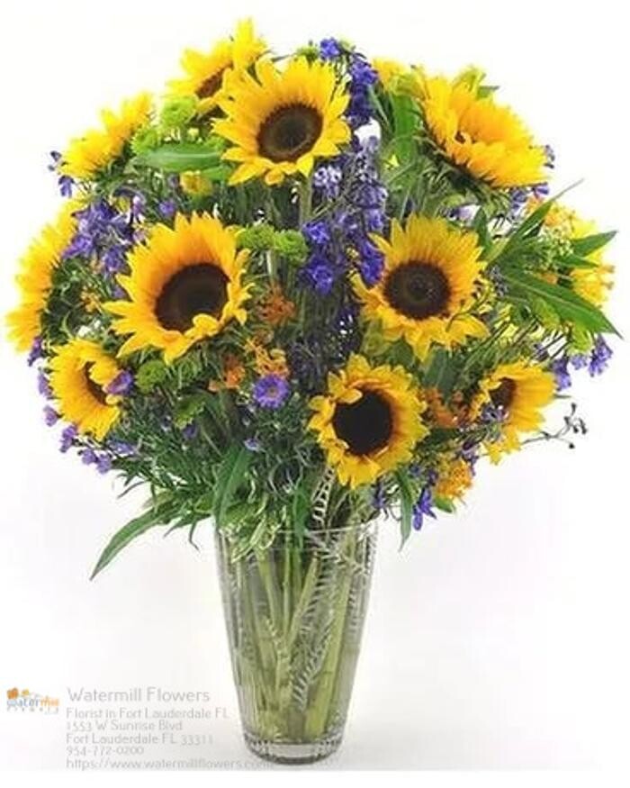 Images The Flower Bucket