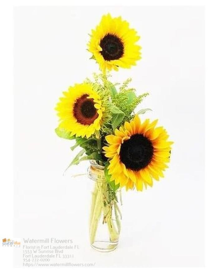 Images The Flower Bucket