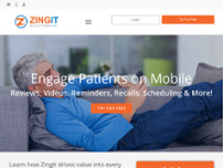 Zingit Solutions website screenshot