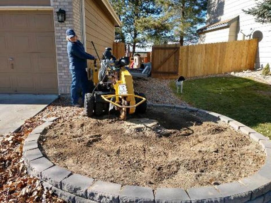 Images Colorado Stump Grinding