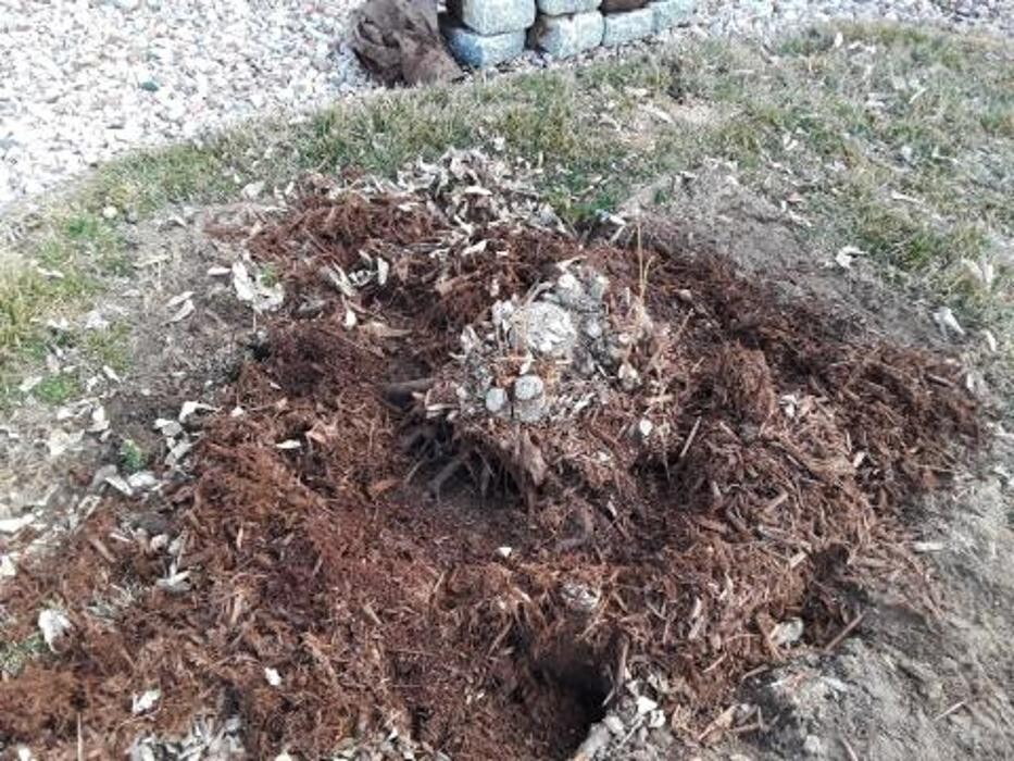 Images Colorado Stump Grinding