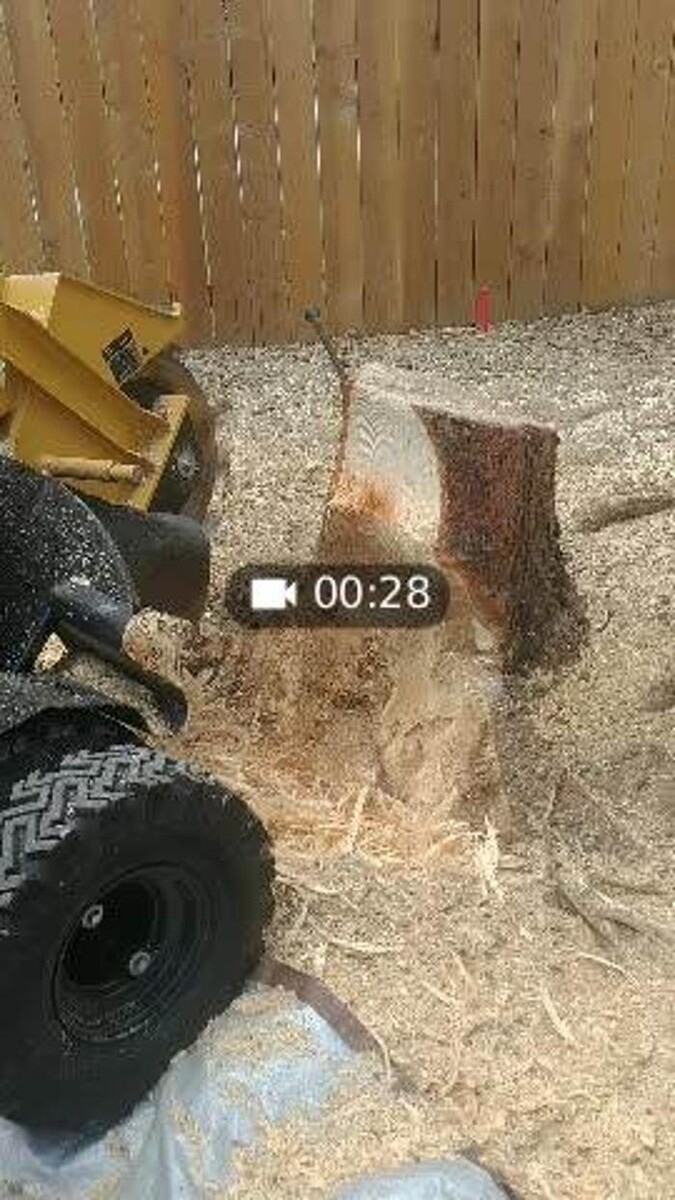 Images Colorado Stump Grinding