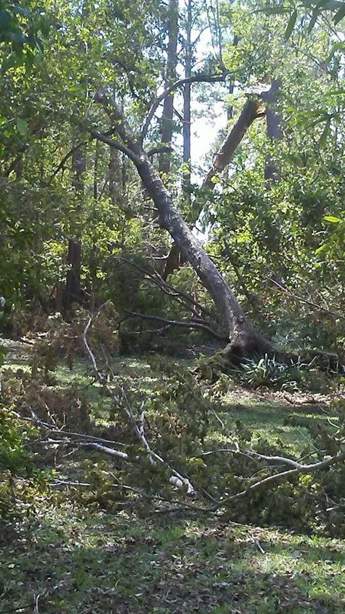 Images Doug's Disaster Relief