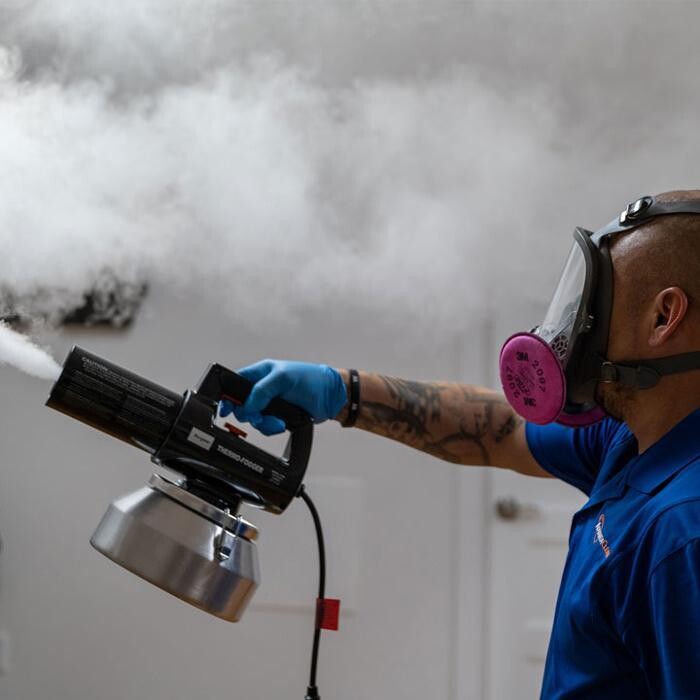 Images AdvantaClean of Honolulu