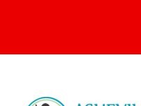 Website Screenshot Asheville Veterinary Associates - South