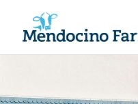 Website Screenshot Mendocino Farms