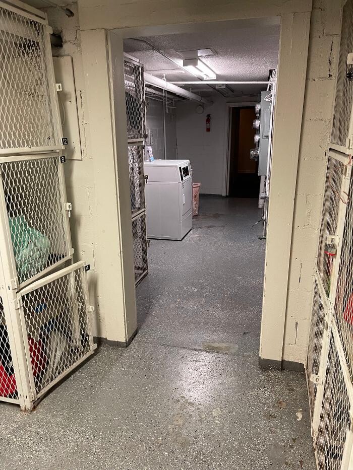 Images Green Kleaning Services, LLC