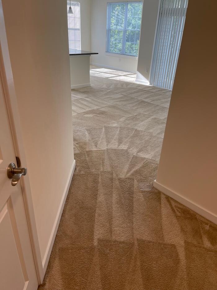 Images Green Kleaning Services, LLC