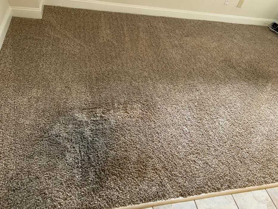 Images Green Kleaning Services, LLC