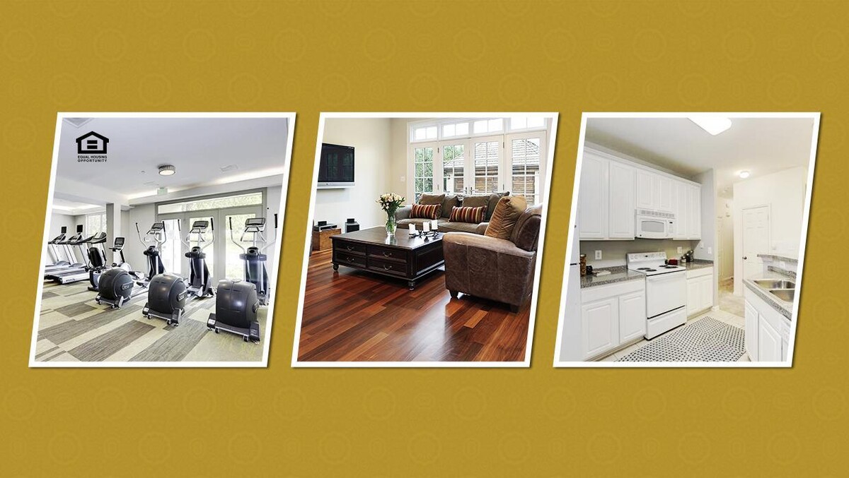 Images Vivant Woodholme