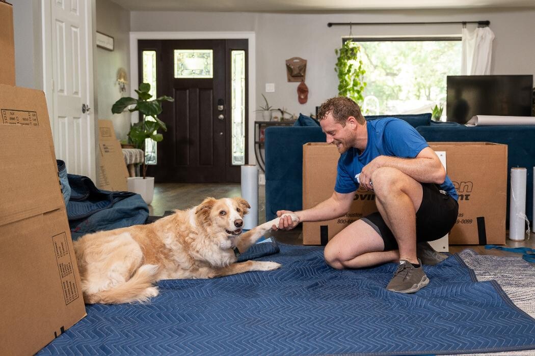 Images Evolution Moving Company