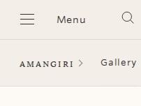 Website Screenshot Amangiri