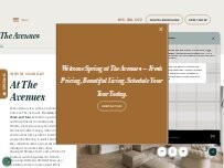 Website Screenshot The Avenues