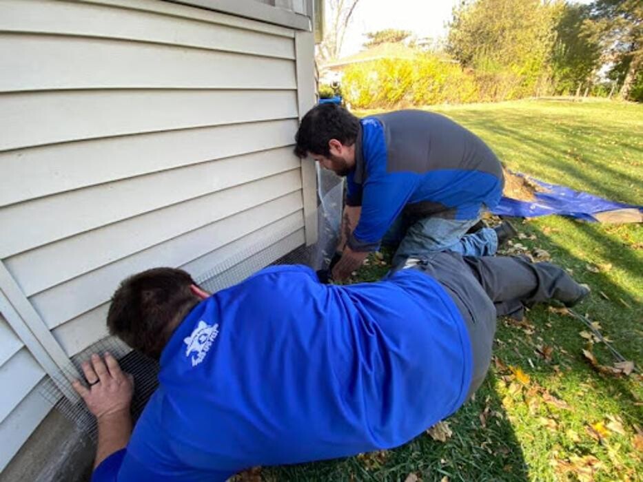 Images Ewert Pest and Wildlife Control