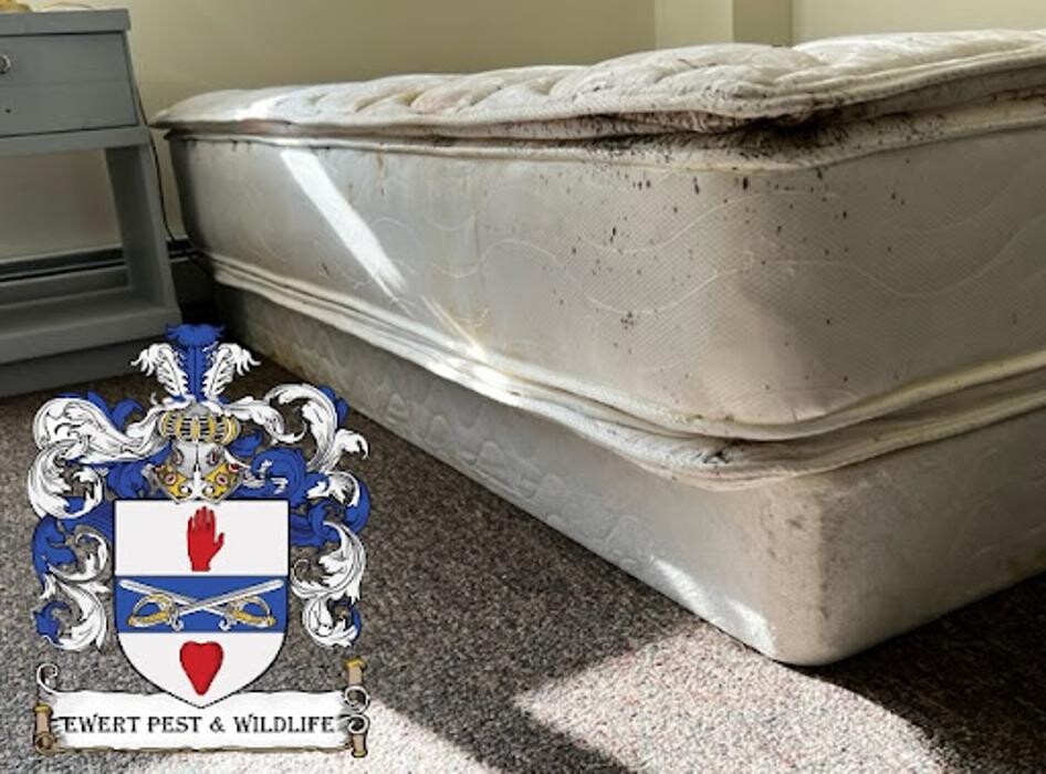 Images Ewert Pest and Wildlife Control