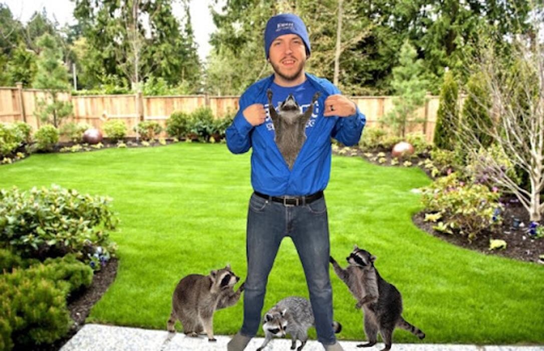 Images Ewert Pest and Wildlife Control