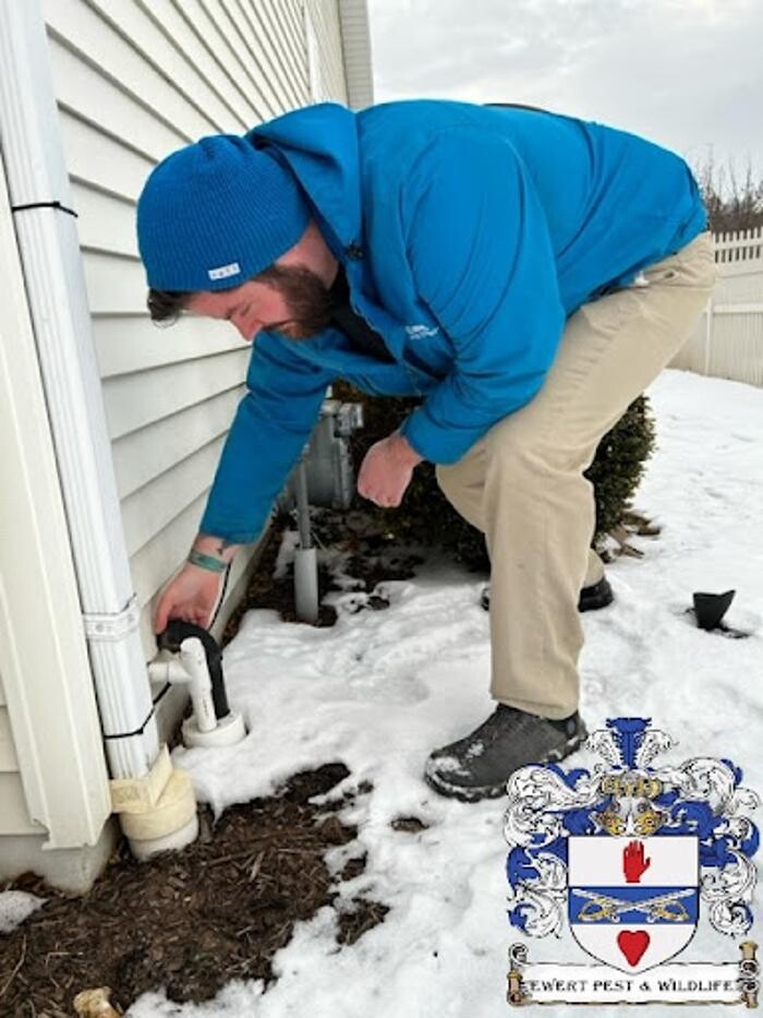 Images Ewert Pest and Wildlife Control