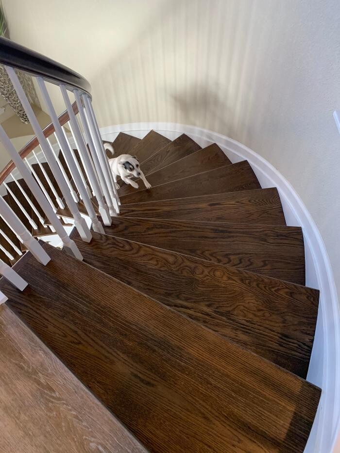 Images Walnut Hardwood LLC