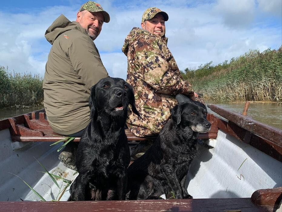 Images Waterstone Labradors