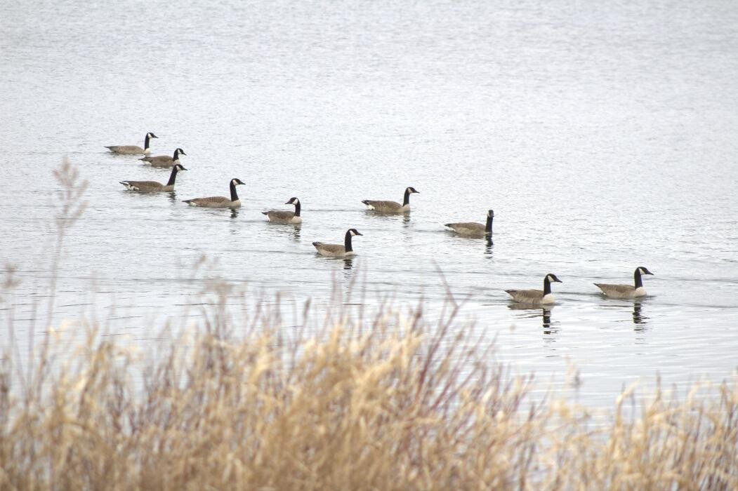 Images Robinson Realty Company