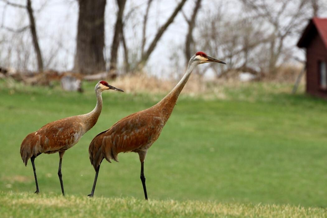 Images Robinson Realty Company