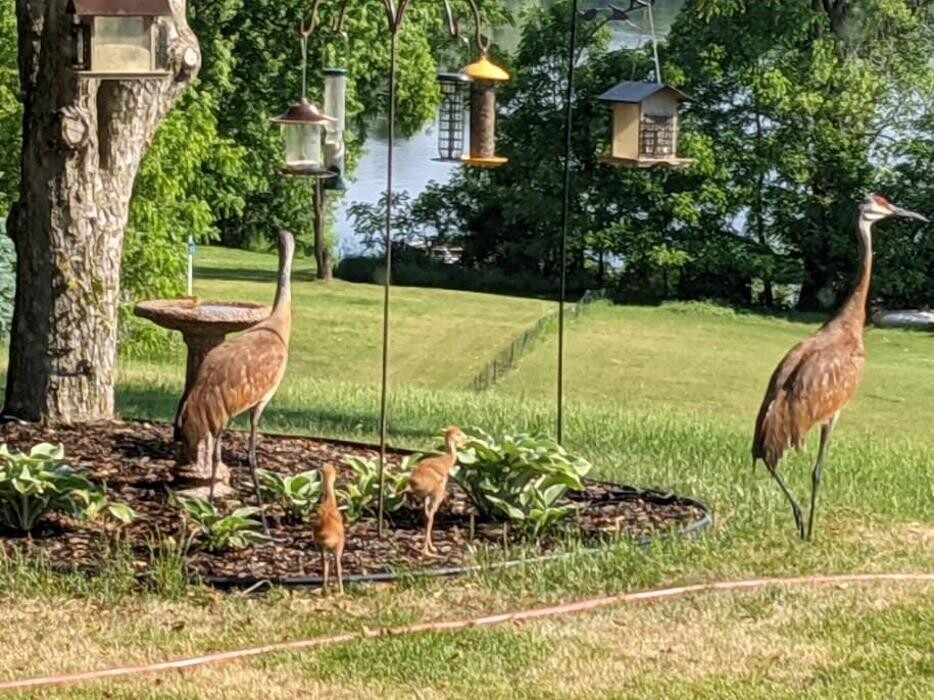 Images Robinson Realty Company