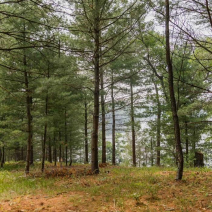 Images Robinson Realty Company