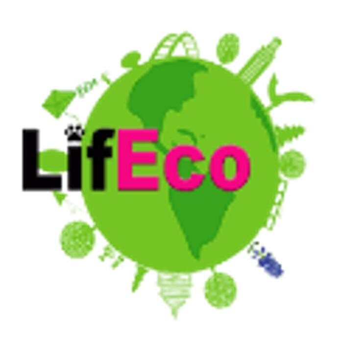 Lifeco Steam Clean Logo