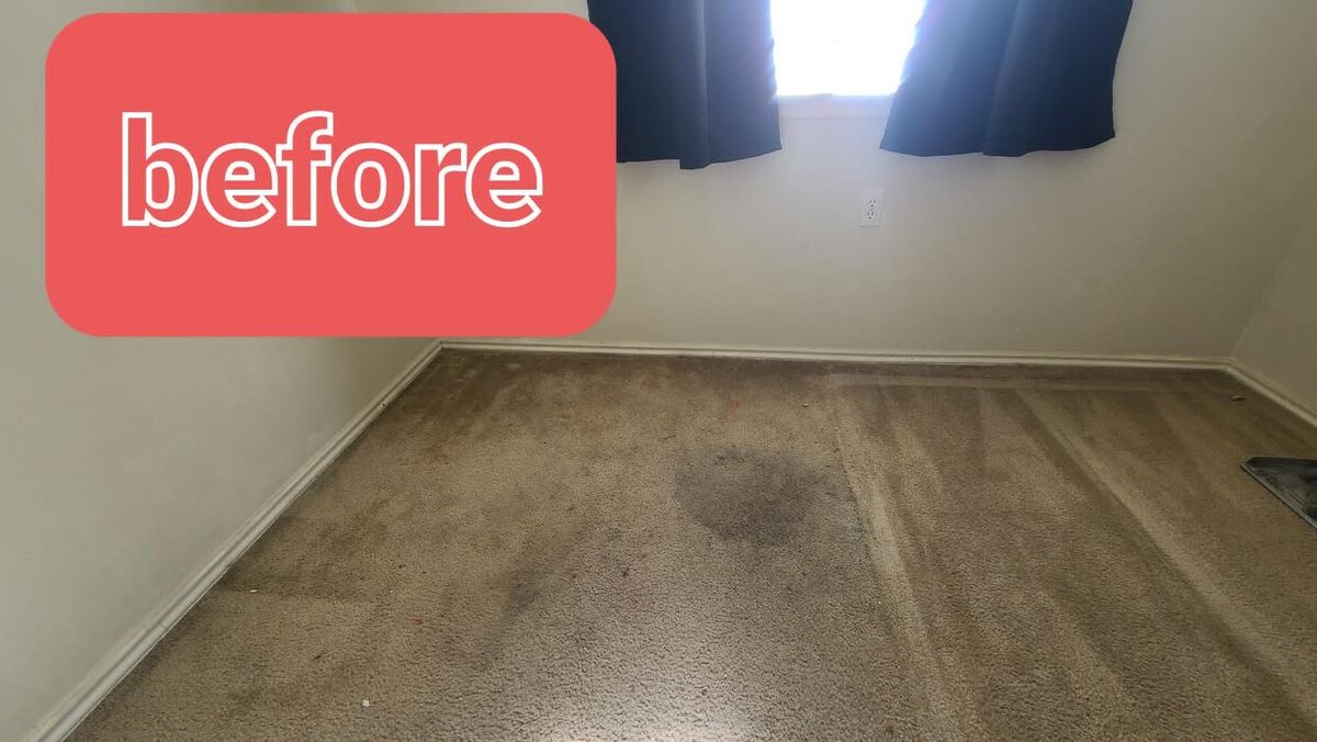 Images Lifeco Steam Clean