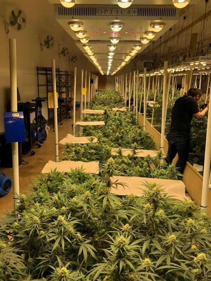 Images Native Harvest Dispensary