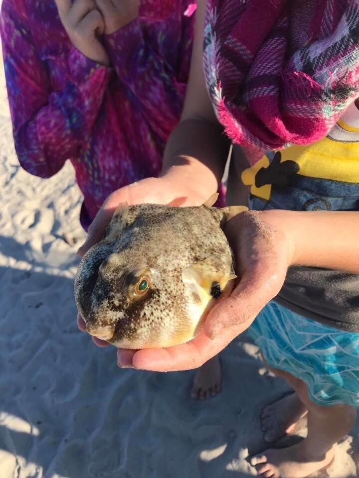 Images Crystal Coast Boat Charters and Rentals