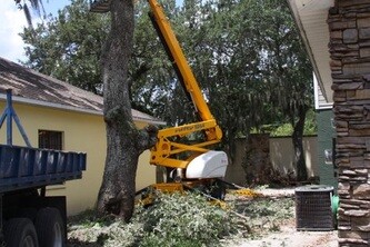 Images Harry Hale Tree Service Inc.