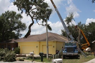 Images Harry Hale Tree Service Inc.