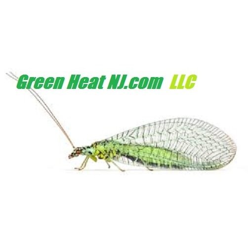 Images Greenheatnj