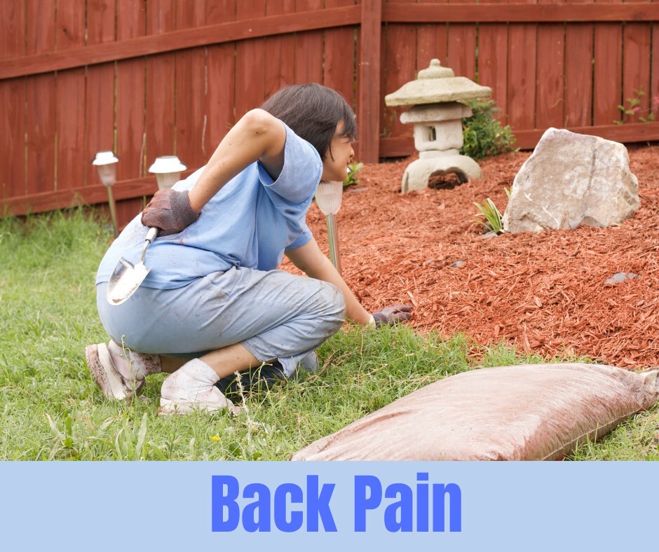 Images Dr. Jeanette Honig, Chiropractor