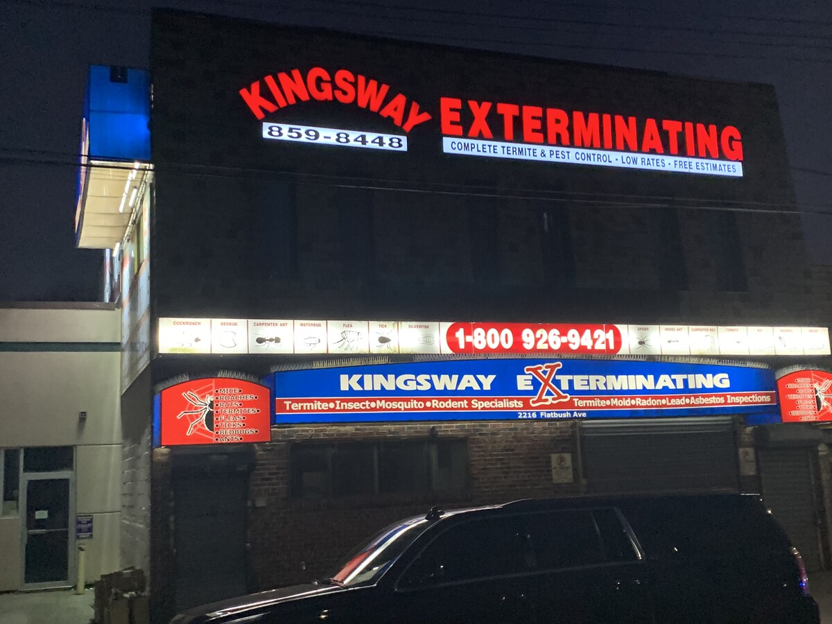 Images Kingsway Exterminating