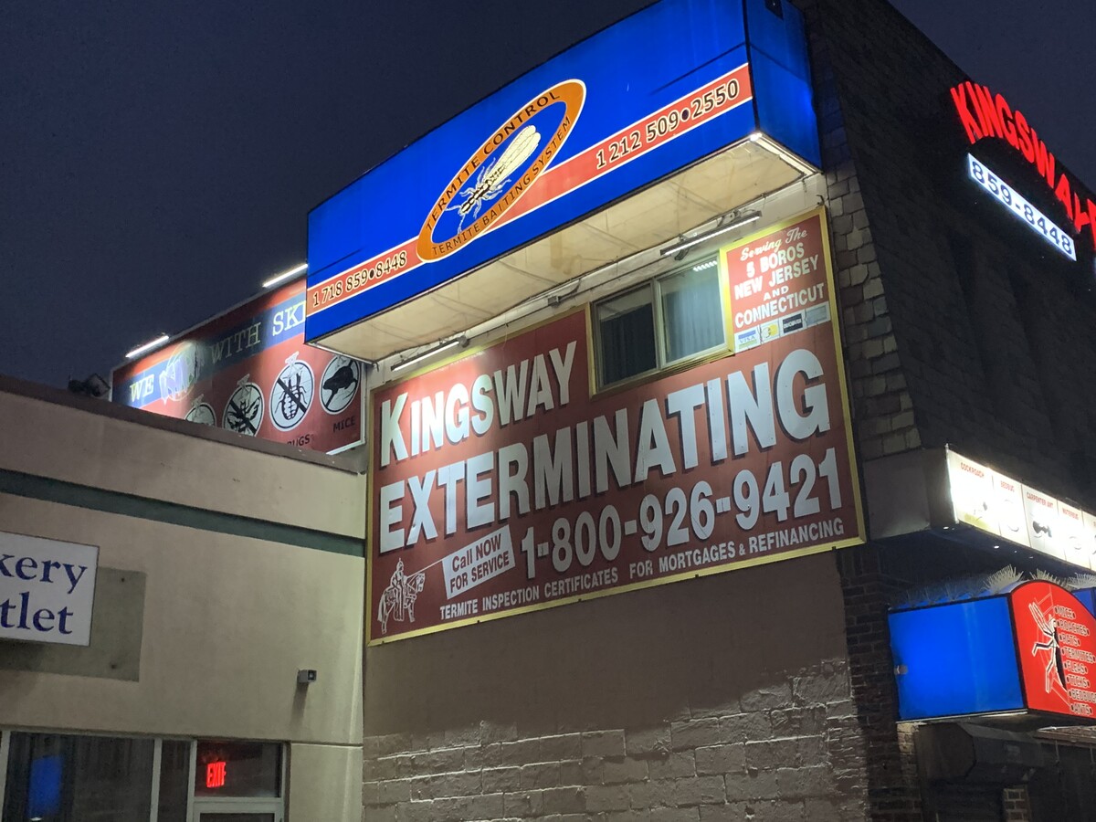Images Kingsway Exterminating