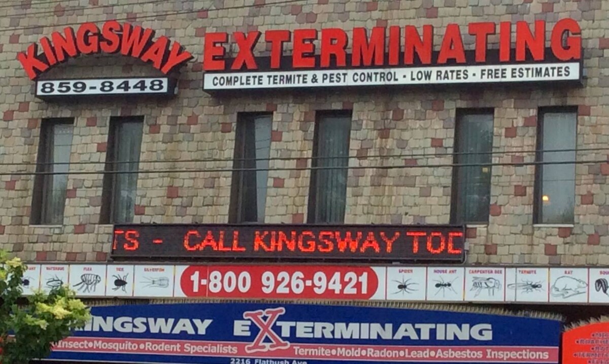 Images Kingsway Exterminating