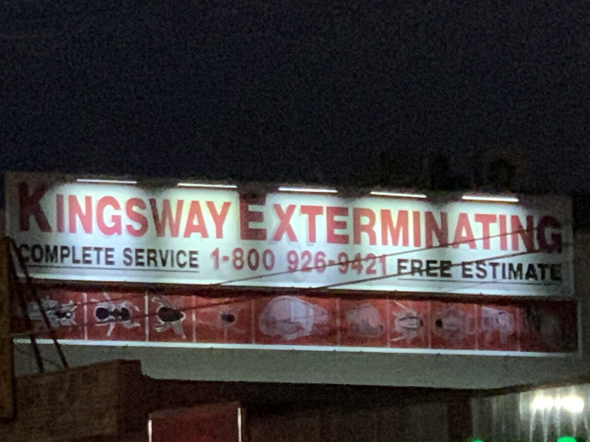 Images Kingsway Exterminating