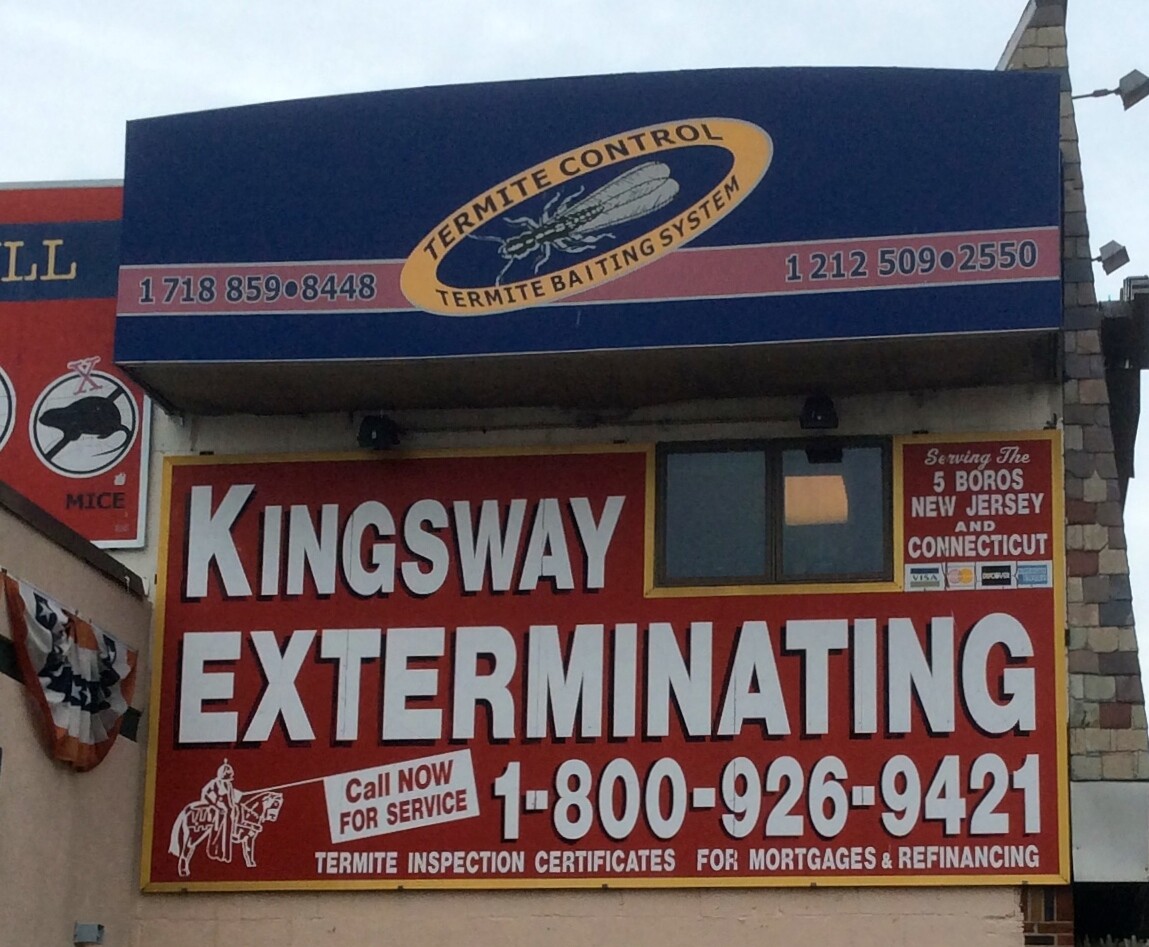 Images Kingsway Exterminating