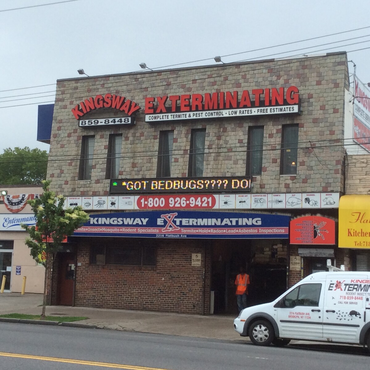 Images Kingsway Exterminating