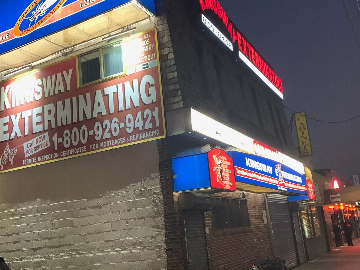 Images Kingsway Exterminating