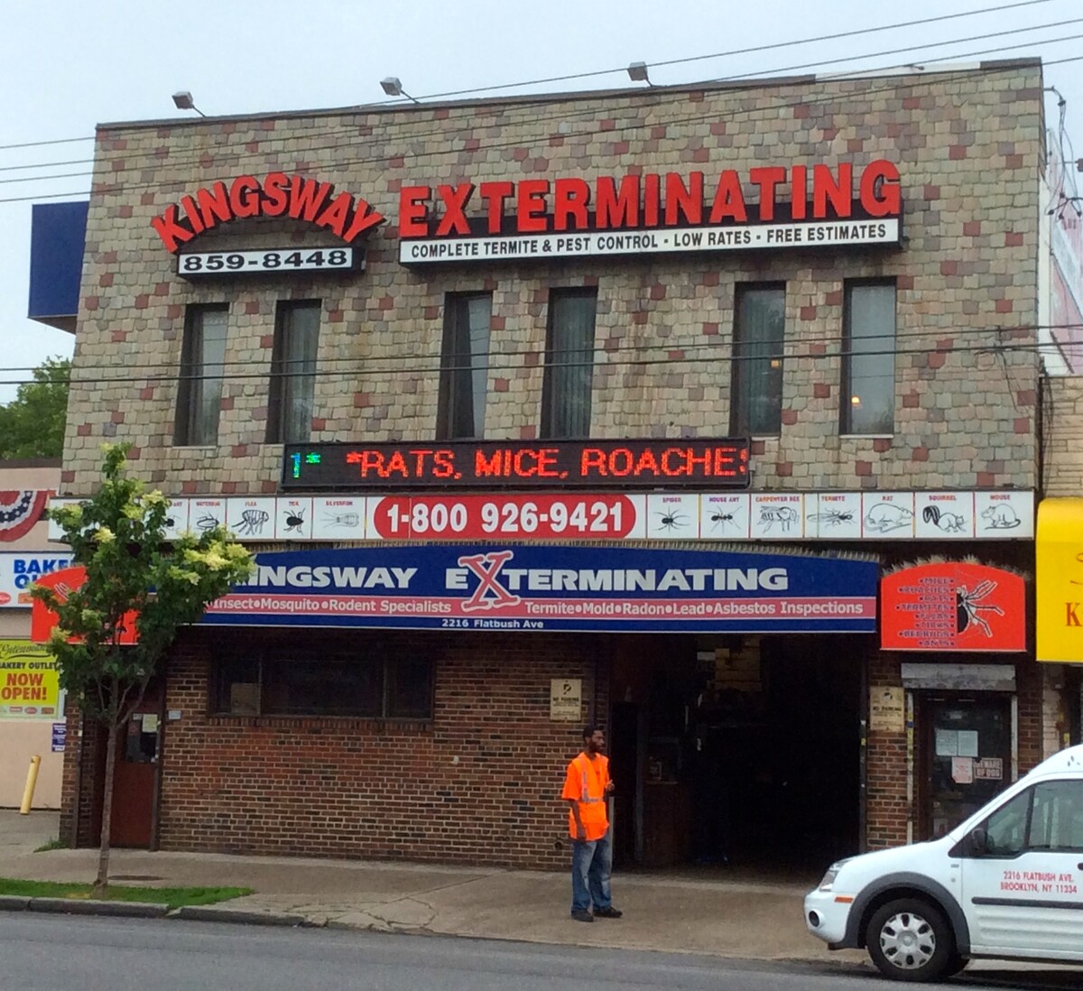Images Kingsway Exterminating