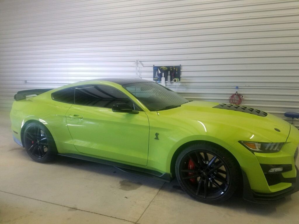 Images WBF Tinting ...under the Son