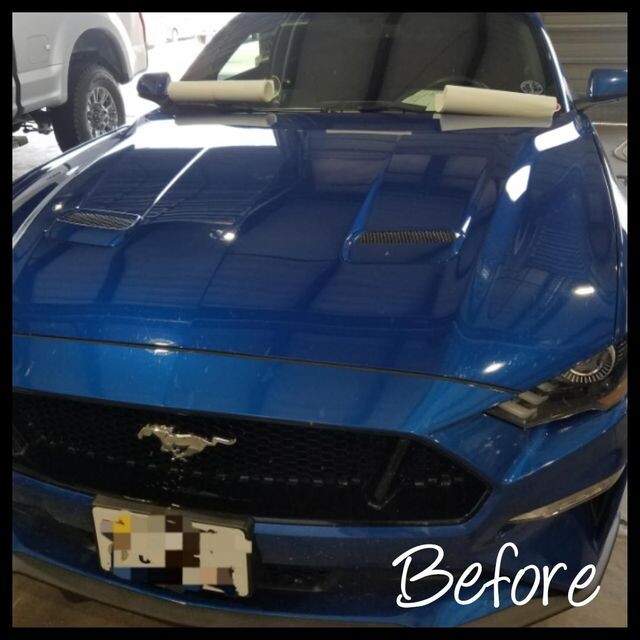 Images WBF Tinting ...under the Son