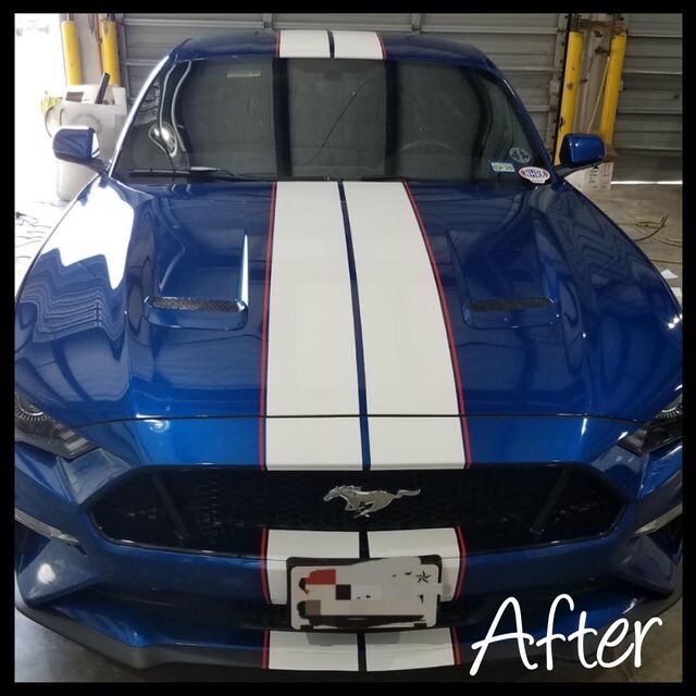 Images WBF Tinting ...under the Son